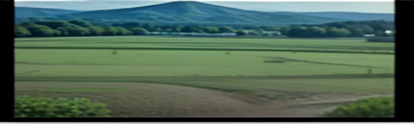 Daily operation timeline panoramic view