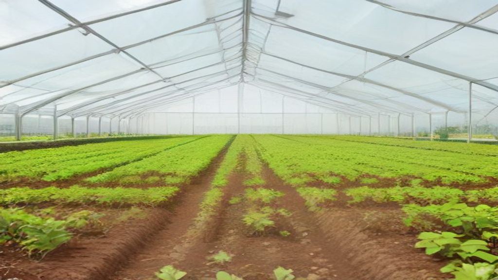 How to Use Serada Compost?